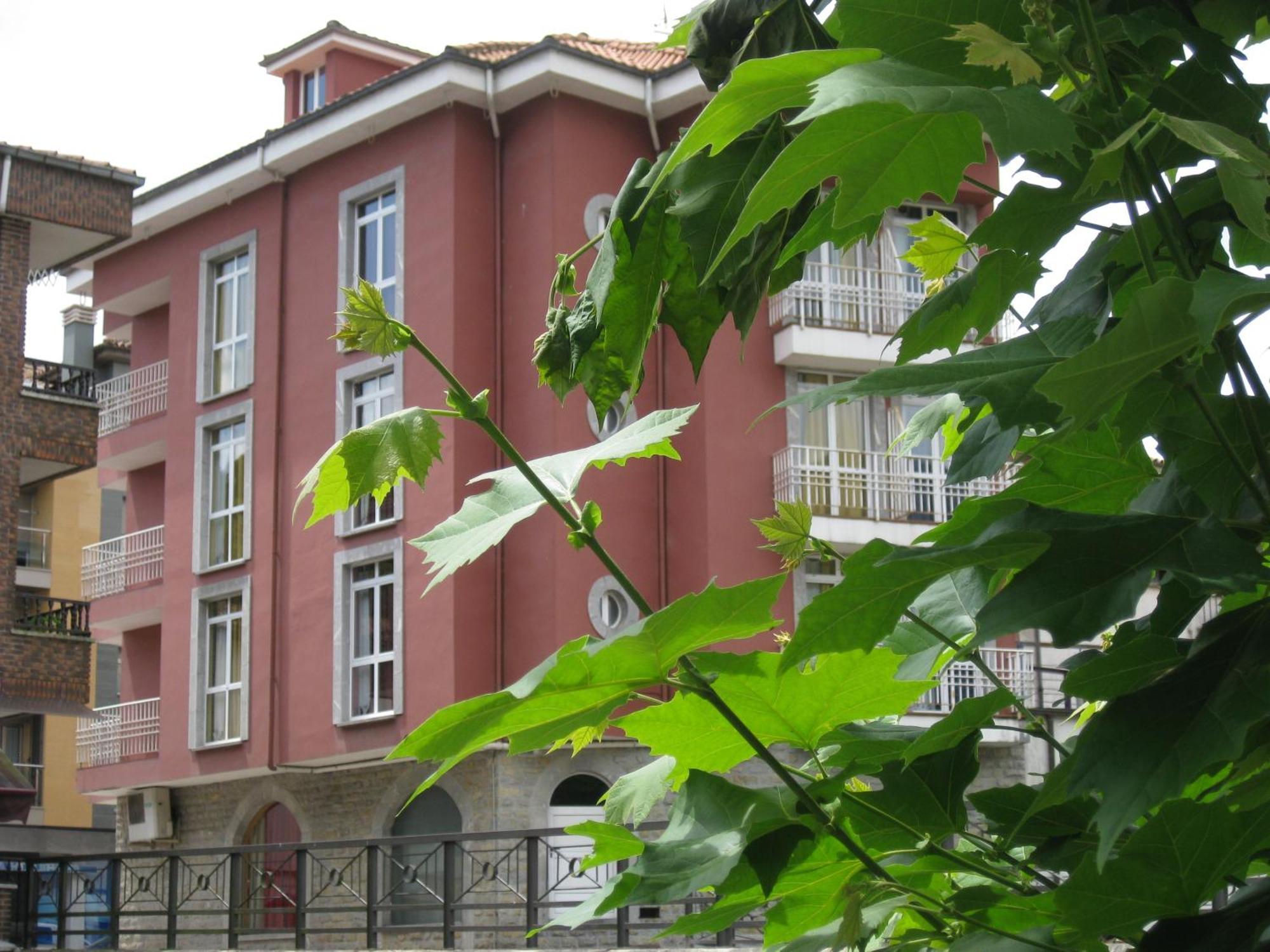 Los Acebos Cangas Onís Exterior foto